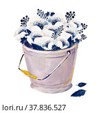 Gouache white anemones in a pail. Hand-drawn clipart for art work and weddind design. Стоковая иллюстрация, иллюстратор Денисова Анастасия / Фотобанк Лори