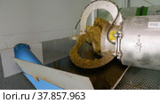 Животноводческая ферма. Переработка навоза, разделение на фракции. A livestock farm. Processing of manure, separation into fractions. (2022 год). Редакционное видео, видеограф Евгений Романов / Фотобанк Лори