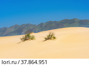 Sandy desert and mountains in the distance, landscape on the dune Sarykum in Dagestan (2022 год). Редакционное фото, фотограф Евгений Харитонов / Фотобанк Лори