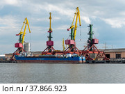 Портальные краны в морском торговом порту. Теплоход "Летний берег". Калининград (2018 год). Редакционное фото, фотограф Александр Щепин / Фотобанк Лори