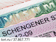 Шенгенская виза в паспорте, выданная консульством Германии (2015 год). Стоковое фото, фотограф Александр Гаценко / Фотобанк Лори