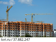 Башенные краны на стройке жилого комплекса в Калининграде (2022 год). Редакционное фото, фотограф Ольга Дмитренко / Фотобанк Лори