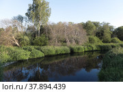 Река Пажа у Радонежского источника (2022 год). Стоковое фото, фотограф Дмитрий Неумоин / Фотобанк Лори