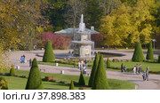 Петергоф осенью, Нижний парк. Римский Фонтан. Peterhof in autumn, Nizhny Park. Rimskiy Fountain. (2021 год). Редакционное видео, видеограф Евгений Романов / Фотобанк Лори