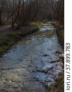 Ochakovka River in early spring, Western Administrative District, Moscow, Russia (2020 год). Стоковое фото, фотограф Алексей Антипов / Фотобанк Лори