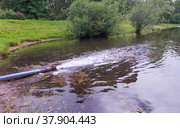 Загрязнение озера сбросовыми водами. Экология в городе. Санкт-Петербург, Россия. Стоковое фото, фотограф Grigory_Gez / Фотобанк Лори