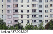 Windows of a multi-storey panel building. At the bottom of the frame, the tops of the trees swaying in the wind. (2022 год). Стоковое видео, видеограф Vadzim Yakubovich / Фотобанк Лори