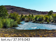 The Chagan-Uzun River, a tributary of the Chuya. Kosh-Agachsky district of the Altai Republic, Russia (2021 год). Стоковое фото, фотограф Евгений Мухортов / Фотобанк Лори