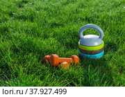 Pair of orange dumbbells  and Adjustable kettlebell on grass in warm morning light. Fitness training in the open air. Стоковое фото, фотограф Якимова Елена / Фотобанк Лори