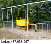 Шкафной газорегуляторный пункт на фоне клёнов (2022 год). Редакционное фото, фотограф Александр Селин / Фотобанк Лори