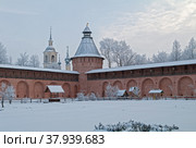 Монастырский аптекарский огород зимой. Спасо-Евфимиев монастырь, Суздаль, Россия. Облачный день в декабре. (2010 год). Стоковое фото, фотограф Сергей Рыбин / Фотобанк Лори