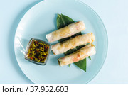 Спринг-роллы из морепродуктов и овощей с декором из зеленых листьев на светлом фоне. Стоковое фото, фотограф Лозовая Людмила / Фотобанк Лори