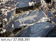 Petroglyphs in Uzbekistan (2016 год). Стоковое фото, фотограф Юлия Бабкина / Фотобанк Лори