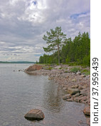 Берег Белого моря, остров Горелый, Керетская губа, Кандалакшкий залив, Карелия. Солнечный день в июле. Стоковое фото, фотограф Сергей Рыбин / Фотобанк Лори