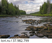 Камни в обмелевшем русле. Река Илекса, Карелия, август. Стоковое фото, фотограф Сергей Рыбин / Фотобанк Лори