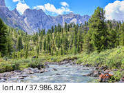 Siberian mountain taiga near river. Стоковое фото, фотограф Виктор Никитин / Фотобанк Лори