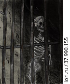Skeleton. Стоковая иллюстрация, иллюстратор Диана Васильева / Фотобанк Лори