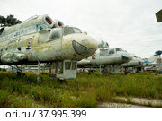 Old MI-10K helicopters (2019 год). Редакционное фото, фотограф Сергей Буторин / Фотобанк Лори