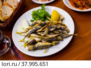 Dietary mullet fish. Fried fish in a plate with parsley and lemon. Стоковое фото, фотограф Яков Филимонов / Фотобанк Лори