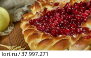 Russian pies Pirog. Стоковое фото, фотограф Александр Fanfo / Фотобанк Лори