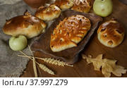 Russian pies Pirog piroshki. Стоковое фото, фотограф Александр Fanfo / Фотобанк Лори