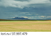 Mongolia. Sands Mongol Els (2019 год). Стоковое фото, фотограф Александр Fanfo / Фотобанк Лори
