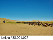 Sands Mongol Els (2019 год). Стоковое фото, фотограф Александр Fanfo / Фотобанк Лори