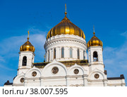 Купола храма Христа Спасителя. Солнечное летнее утро. Москва. Россия (2022 год). Стоковое фото, фотограф E. O. / Фотобанк Лори