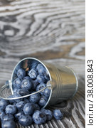 Ripe blueberries in a metal bucket. The bucket is overturned, the berries are scattered. On pine boards. Close-up. Стоковое фото, фотограф Vadzim Yakubovich / Фотобанк Лори