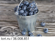 Ripe blueberries in a metal bucket. On pine boards. Several berries are scattered around. Close-up. Стоковое фото, фотограф Vadzim Yakubovich / Фотобанк Лори