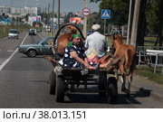 Гомель. Гужевая повозка на шоссе (2022 год). Редакционное фото, фотограф Дмитрий Неумоин / Фотобанк Лори