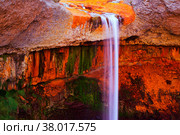 Salto del Agrio waterfall, Patagonia, Argentina. Стоковое фото, фотограф Яков Филимонов / Фотобанк Лори