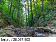 Пересыхающая река Кавярзе в Тамбовской щели, Краснодарский край, село Хребтовое. Стоковое фото, фотограф Михаил Таратонов / Фотобанк Лори