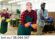 Vegetable warehouse workers preforming dance in workplace. Стоковое фото, фотограф Яков Филимонов / Фотобанк Лори