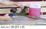 Grass trimmer line installation on coil of bump head of weed wacker. Стоковое видео, видеограф Владимир Григорьев / Фотобанк Лори
