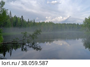 Легкая дымка над рекой. Пека Писта, северная Карелия, август. Стоковое фото, фотограф Сергей Рыбин / Фотобанк Лори