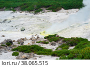 Crystallized sulfur around a solfatara in the fumarole field on the slope of a volcano. Стоковое фото, фотограф Евгений Харитонов / Фотобанк Лори