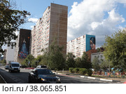 Карина, мурал на многоэтажном доме в Железнодорожном (2022 год). Редакционное фото, фотограф Дмитрий Неумоин / Фотобанк Лори