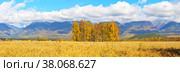 Panoramic view of the foothill Tunka Valley and the East Sayan Mountains on a sunny autumn day. Beautiful calm landscape with a field of ripe oats and yellow birches. Buryatia, Baikal region, Tunka Valley. Стоковое фото, фотограф Виктория Катьянова / Фотобанк Лори