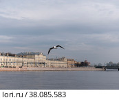 SAINT-PETERSBURG, RUSSIA - SEPTEMBER 20, 2020 - View of Pirogovskaya quay in Saint-Petersburg, Russia. The Military Medical Academy. Стоковое фото, фотограф Фотограф / Фотобанк Лори