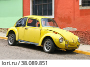 Volkswagen Type 1 Beetle (2017 год). Редакционное фото, фотограф Art Konovalov / Фотобанк Лори