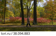Петергоф, парк Александрия осенью. Люди прогуливаются по парку. Peterhof, Alexandria Park in autumn. People are walking in the park. (2021 год). Стоковое видео, видеограф Евгений Романов / Фотобанк Лори