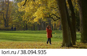 Петергоф, парк Александрия осенью. Люди прогуливаются по парку. Peterhof, Alexandria Park in autumn. People are walking in the park. (2021 год). Редакционное видео, видеограф Евгений Романов / Фотобанк Лори