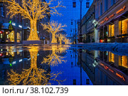 Reflections of Christmas decoration on evening street. Стоковое фото, фотограф Галина Царькова / Фотобанк Лори