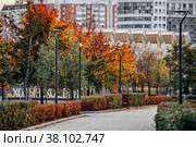 Autumn in modern Moscow park Khodynskoe pole. Стоковое фото, фотограф Галина Царькова / Фотобанк Лори