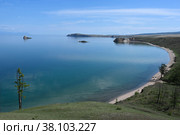 Крокодил и Лев. Стоковое фото, фотограф Екатерина Шихова / Фотобанк Лори