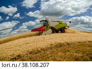 Russia, Kazan - august 5, 2020 : Claas Combine Harvester harvesting a crop of Barley. Редакционное фото, фотограф Ольга Сейфутдинова / Фотобанк Лори