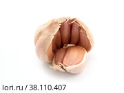 Garlic  and cloves on white background. Стоковое фото, фотограф Алексей Антипов / Фотобанк Лори