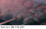 Close-up of lumpy kebab with tomato and ground kebab is grilled on the grill. Стоковое видео, видеограф Aleksey Kidisyuk / Фотобанк Лори