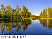 Evening view of Lake Haukivesi with reflection of trees in the water. Стоковое фото, фотограф Михаил Аккуратoв / Фотобанк Лори